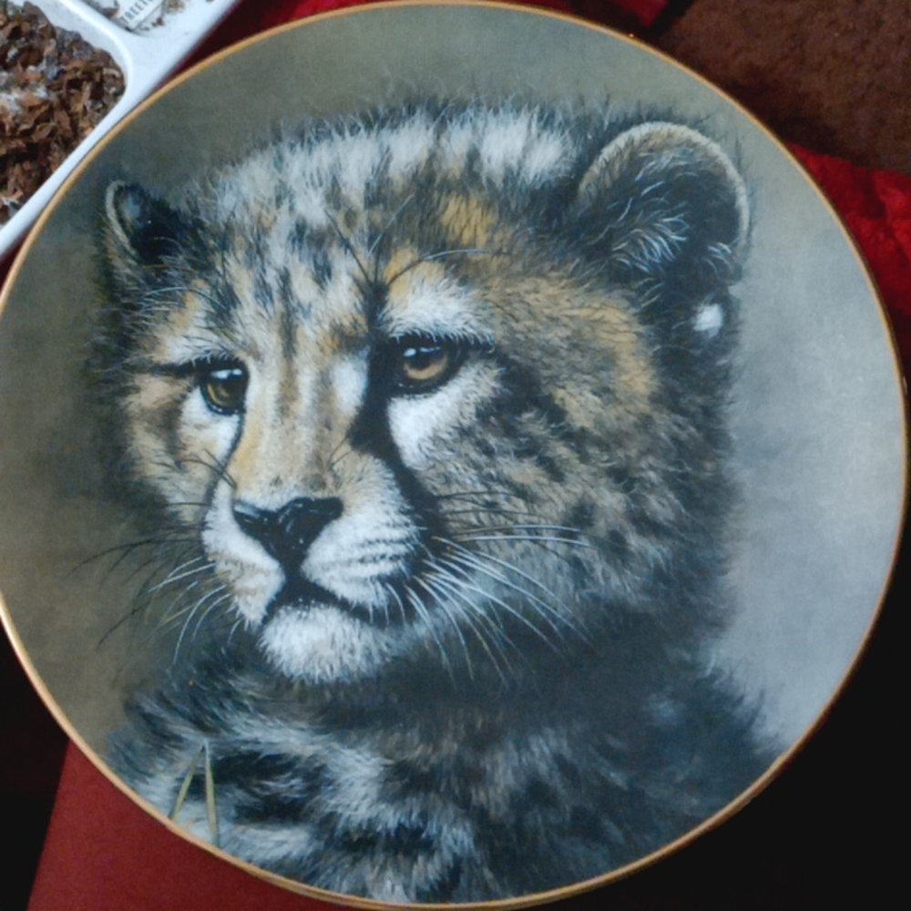 Decorative plates
